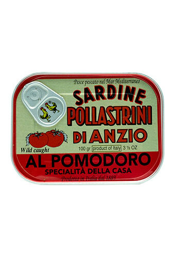Pollastrini Sardinen in Tomatensauce